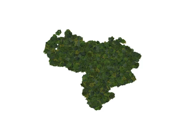 Top View Forest Trees Forming Map Venezuela Top View Environmental — ストック写真