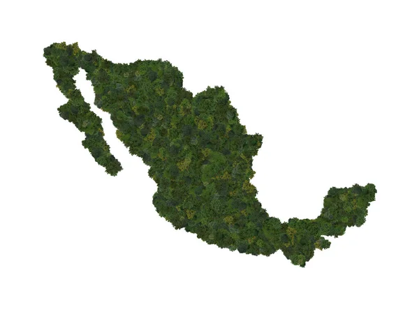 Top View Forest Trees Forming Map Mexico Top View Environmental — ストック写真