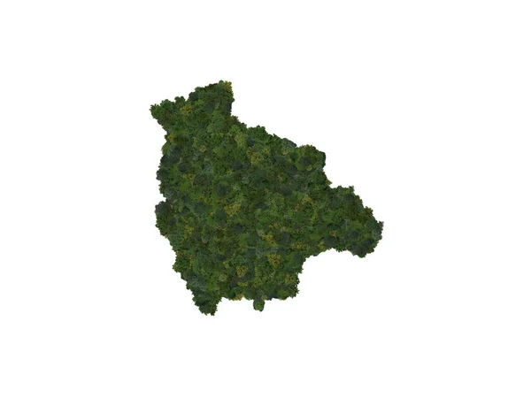 Top View Forest Trees Forming Map Bolivia Top View Environmental ロイヤリティフリーのストック画像