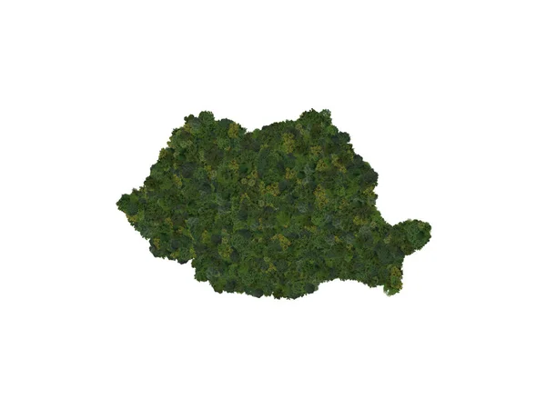 Top View Forest Trees Forming Map Romania Top View Environmental — ストック写真