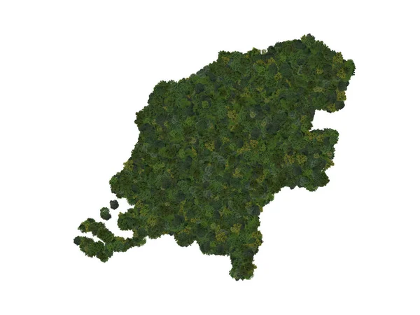 Top View Forest Trees Forming Map Netherlands Top View Environmental — 图库照片