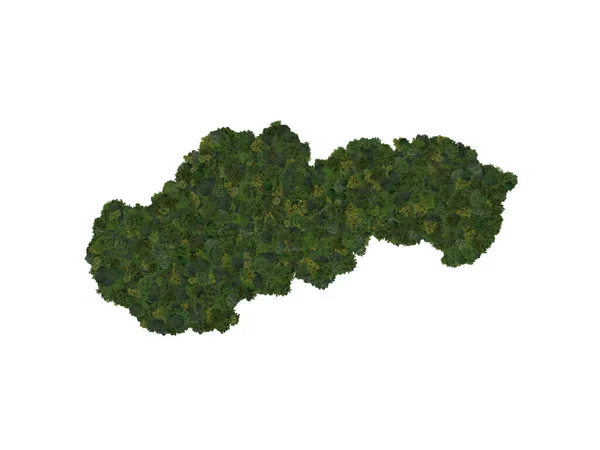 Top View Forest Trees Forming Map Slovakia Top View Environmental — Stock Photo, Image