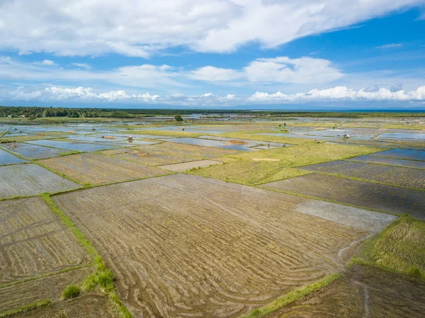 Aerial Vast Area Rice Paddies Tubigon Bohol Flat Plains Used — Stock Photo, Image