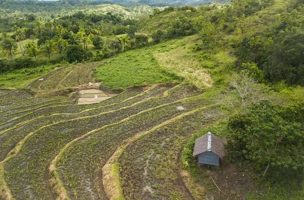 Aerial Hilly Terrain Used Agricultural Farmland Terraced Rice Paddy Inabanga — Fotografia de Stock