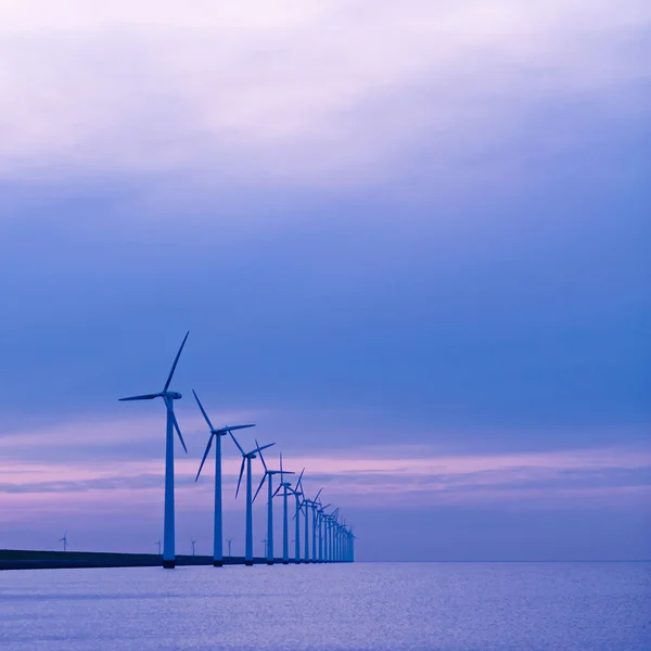 IJsselmeerdijk i solnedgången, Nederländerna — Stockfoto