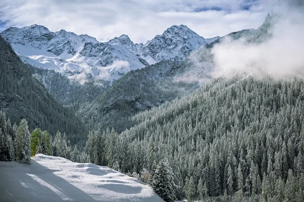 Première neige dans les Alpes suisses, Suisse — Photo