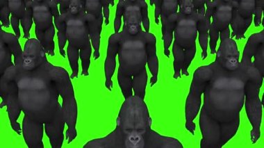 Gorillerin istilası, animasyon