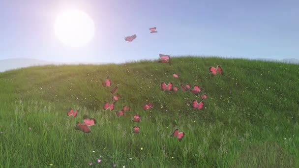 날으는 나비와 애니메이션 이 있는 맑은 초원 비디오 클립