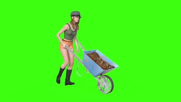 The girl with wheelbarrow animation, green background — Stock Video