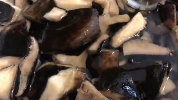 在水里搅拌的黑蘑菇 — 图库视频影像