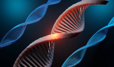 3D Helix tamamlayıcı RNA DNA ipliğini oluşturur. Genetik kod ya da genom dizileri. Gen ifadesi. nükleotid veritabanı. Transkripsiyon ve çevirinin merkezi dogma süreci. İnsan geni.