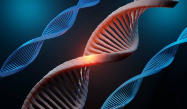 3d render Helix complementary strand of DNA of RNA. Sequences genetic code or genome. Gene expression. nucleotide database. The Central Dogma process of transcription and translation. Human gene. clipart