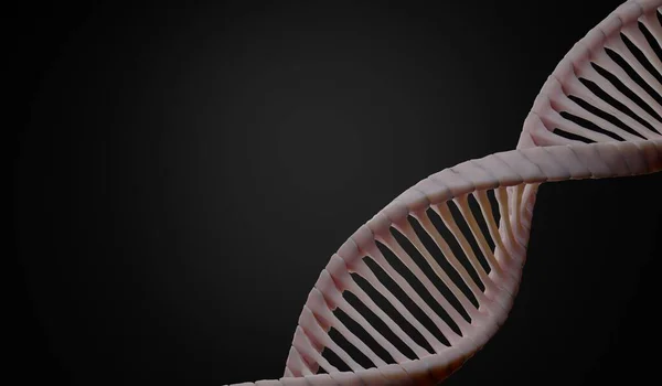 Göra Helix Kompletterande Strängen Dna Rna Sekvenser Genetisk Kod Eller — Stockfoto