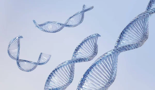 Helix Tamamlayıcı Rna Dna Ipliğini Oluşturur Genetik Kod Genom Dizileri — Stok fotoğraf