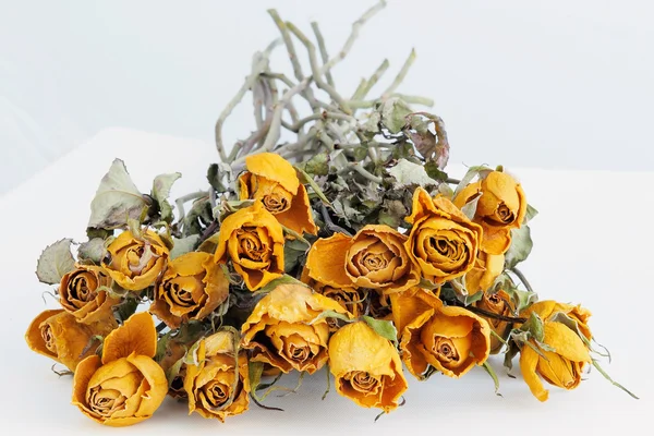 Sušené žluté růže — Stock fotografie