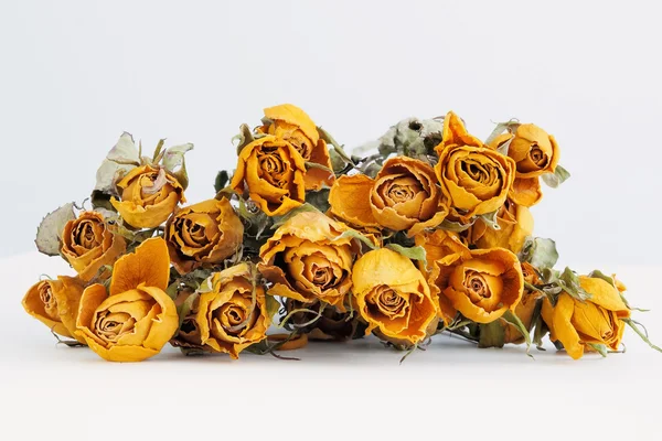 乾燥の黄色いバラ ロイヤリティフリーのストック画像