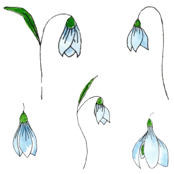 Hand drawn snowdrops. Set of different snowdrops. Watercolor and liner. Spring flowers clip art.
