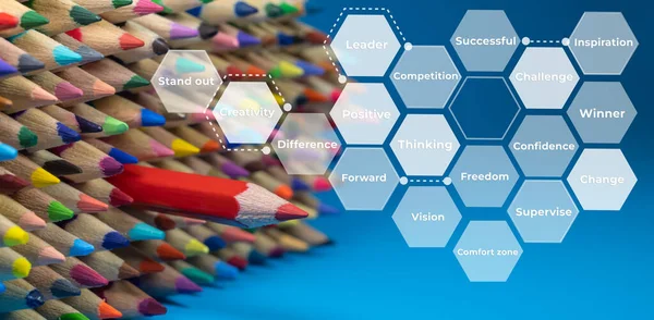 A red pencil is pointed in the opposite direction of the crayon with hexagon flat and text, elements of Honeycomb, Group of color pencils, Red pencil Stand out in the crowd, Inspirtion concept.