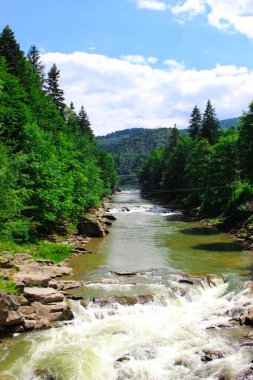 Ukrayna, Yaremche, 2015. Batı Ukrayna 'nın nehir ve orman manzarası