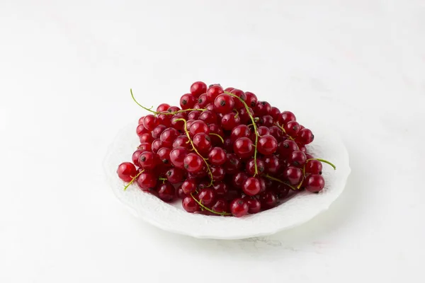 白色底色的白盘上的红醋栗 有用的浆果 — 图库照片