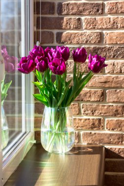 Pencerenin yanında bir buket mor lale. Bahar buketi