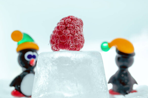 A pair of penguins made from Venetian glass in front of frozen raspberry on the ice cube. Animal figurines made from Murano glass. Handmade fine art. Close up of fruit.