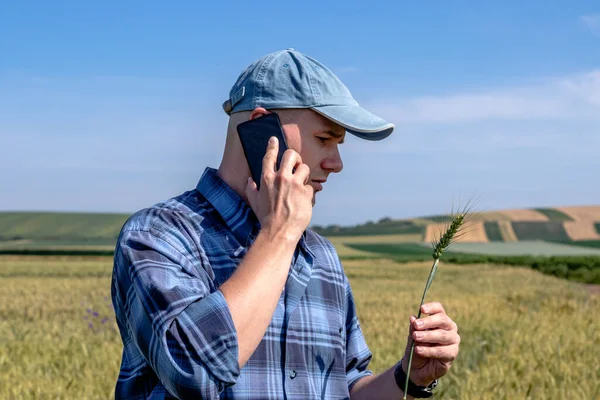 Farmer Stojący Polu Pszenicy Szacuje Plony Negocjuje Cenę Rozmawiając Przez — Zdjęcie stockowe