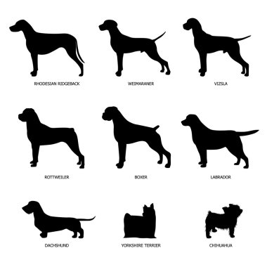 Köpek Siluetleri