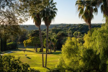 Golf sahasının manzarası ve güzel bir golf sahası. Zengin yeşil çimenlikli golf sahası. Güzel manzara..