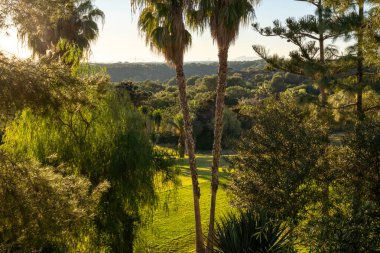 Golf sahasının manzarası ve güzel bir golf sahası. Zengin yeşil çimenlikli golf sahası. Güzel manzara..