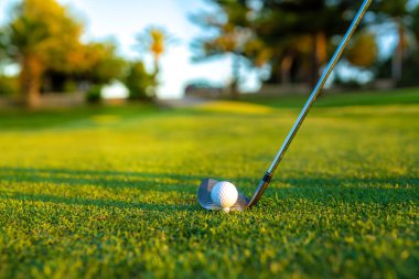 Yeşil çimlerin üzerinde golf topuna yakın vurmaya hazır olun..