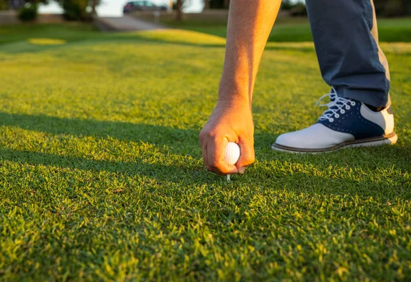 Golflabda Közelsége Zöld Füvön Támadásra Készen — Stock Fotó