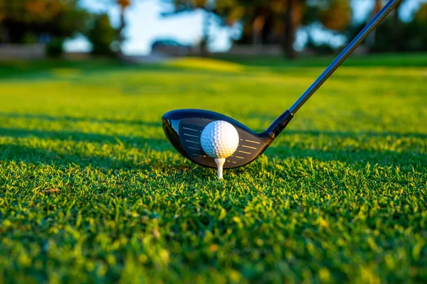 Koyarak Golf Topu Deliğe Adamım Atış Detay Kapatın — Stok fotoğraf