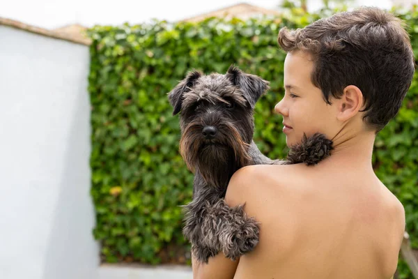 Happy Boy Holding Dog Schnauzer Hands Sunny Day Garden Home — ストック写真