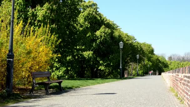 Caminho em um parque (árvores) com bancos — Vídeo de Stock
