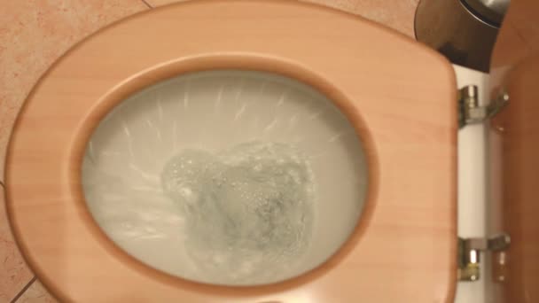 Toilet flush — Stock Video