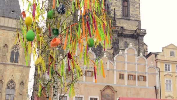 Ostermärkte - Ostern geschmückter Baum mit der Frauenkirche vor dem Tyn im Hintergrund. Altstadtplatz in Prag. — Stockvideo