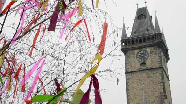 Ostermärkte - Ostern geschmückter Baum mit altem Rathaus im Hintergrund. Altstadtplatz in Prag. — Stockvideo