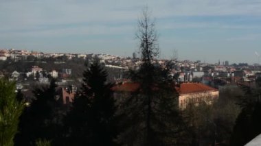 ağaç ile Prag Panorama