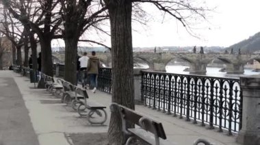 Charles Köprüsü (görünüm Park)