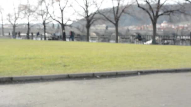 Vassa blomma i höst i parken med människor. i bakgrunden charles bridge — Stockvideo