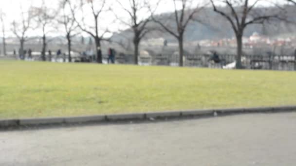 Flor aguda en otoño, en el parque con la gente. En el fondo Puente de Carlos — Vídeos de Stock