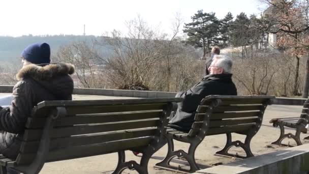 La gente se relaja en el parque, se sienta en un banco y camina — Vídeo de stock