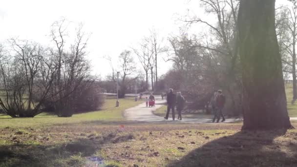 As pessoas andam no parque (casal apaixonado ) — Vídeo de Stock