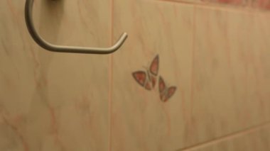 Man (genç erkek) yeni tuvalet kağıdı tuvalet (wc ekler.)