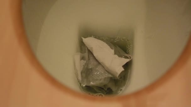 Toilettenspülung — Stockvideo