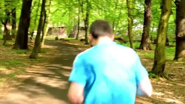 Atleet wordt uitgevoerd door het bos - steadicam — Stockvideo