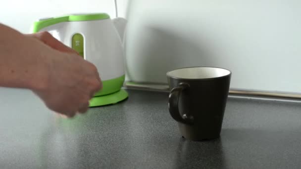 Προετοιμάζει το τσάι — Αρχείο Βίντεο