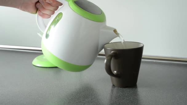 Prepara chá — Vídeo de Stock