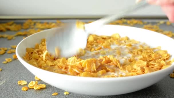 Cornflakes met melk — Stockvideo